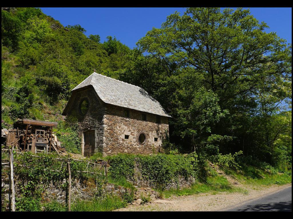 Malrieu Bed & Breakfast Le Fel Room photo